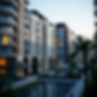 Magnificent Comprehensive Guide to Renting a 1BHK Apartment in Dubai Magnificent Comprehensive Guide to Renting a 1BHK Apartment in Dubai