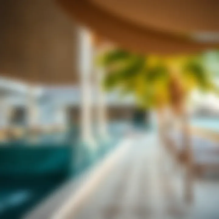 Magnificent Exploring the Premier Beach Clubs