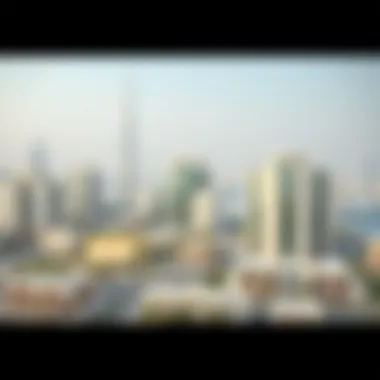 Urban Planning Framework of Al Maktoum City Visual representation of the urban planning framework for Al Maktoum City