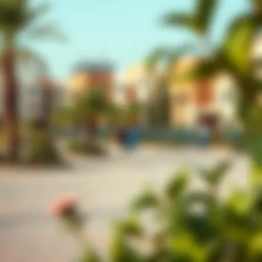 Community Amenities in Al Mizhar 3 Community amenities in Al Mizhar 3 including parks and recreational facilities