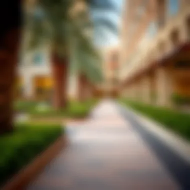 Community amenities surrounding Al Nuaimiya Towers