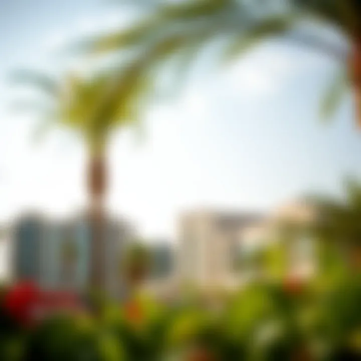 Investment opportunities highlighted in Bella Vista's attractive market