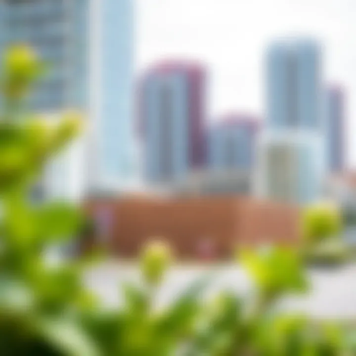 Investment Potential in Boulevard Heights Investment potential chart illustrating the growth of real estate in Boulevard Heights