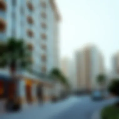 Notable Comprehensive Guide to Renting a 1BHK Apartment in Dubai Notable Comprehensive Guide to Renting a 1BHK Apartment in Dubai