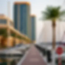 Comprehensive Overview of Umm Al Quwain Marina Introduction