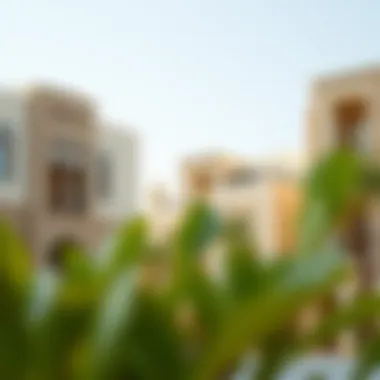 Architectural Harmony in Daira An architectural view of traditional buildings juxtaposed with modern structures in Daira