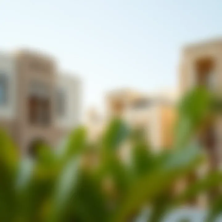 Architectural Harmony in Daira An architectural view of traditional buildings juxtaposed with modern structures in Daira