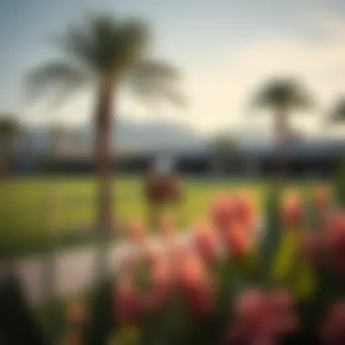 A picturesque view of the Desert Palm grounds showcasing the equestrian lifestyle