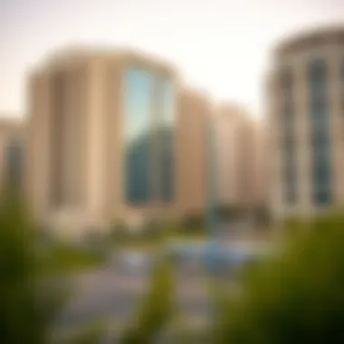 Real estate developments near the Dubai Metro Blue Line