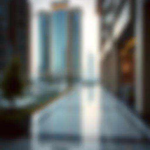 Expert Insights on the Dubai Real Estate Market Introduction