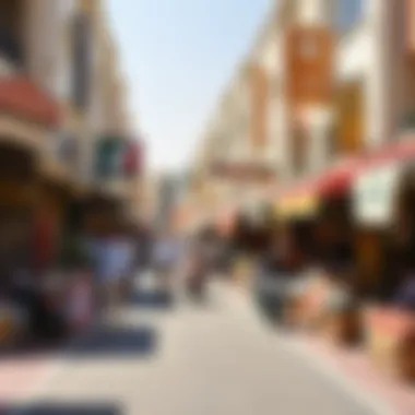 The bustling marketplace in Abu Shagara.