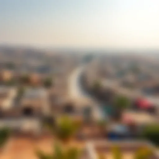 A panoramic view of Abu Shagara showcasing vibrant community life.