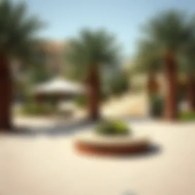 Communal parks and recreational spaces in Abu Shagara.