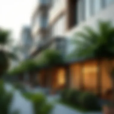 Local community resources for renters in Dubai