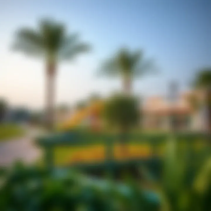 Community Park in Aghadeer A vibrant community park in Aghadeer filled with greenery and recreational facilities.