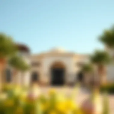 Design Philosophy of Al Ghadeer Architectural details of Al Ghadeer Village highlighting design philosophy