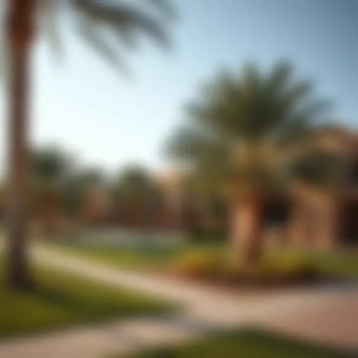 Serene park areas in الريم سنترال بارك, perfect for relaxation and leisure.