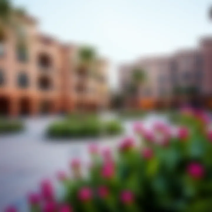 Community Amenities of Aster Muweilah Community amenities in Aster Muweilah including parks and recreational spaces