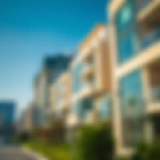 Exploring بسباس الخالدية: A Unique Perspective on Dubai's Neighborhood Dynamics Introduction
