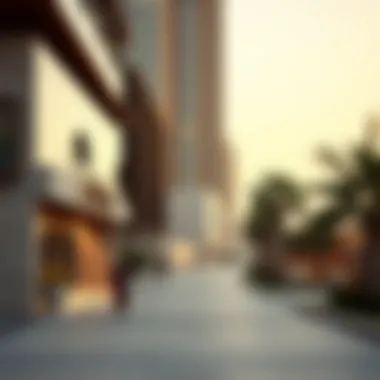 Exploring بسباس الخالدية: A Unique Perspective on Dubai's Neighborhood Dynamics Summary Exploring بسباس الخالدية: A Unique Perspective on Dubai's Neighborhood Dynamics Summary
