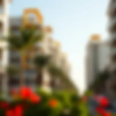 The Vibrant Neighborhood of Cavalli Apartments Vibrant neighborhood surrounding Cavalli Apartments