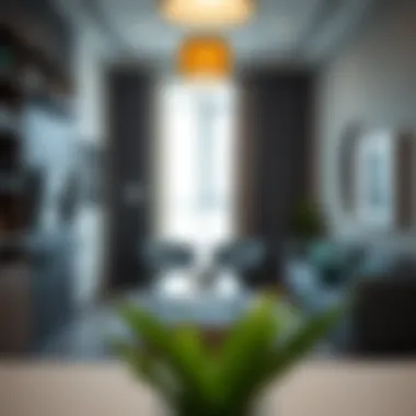 Budget-Friendly Amenities Budget-friendly amenities in a studio flat
