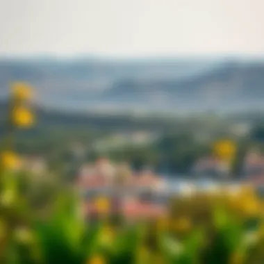 Tranquil Landscape of Damac Hills Serene landscape of Damac Hills with lush greenery and residential properties