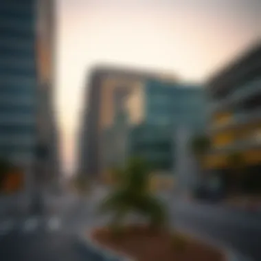 Commercial Developments on Dana Road Modern commercial buildings along Dana Road