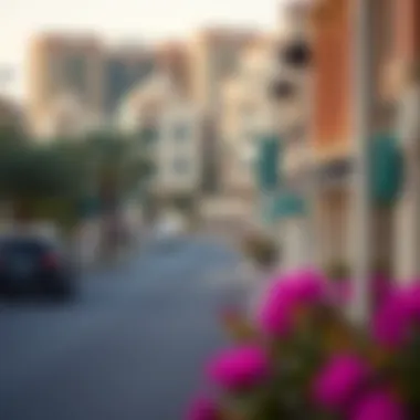 Residential Neighborhood on Dana Road Vibrant residential neighborhood along Dana Road