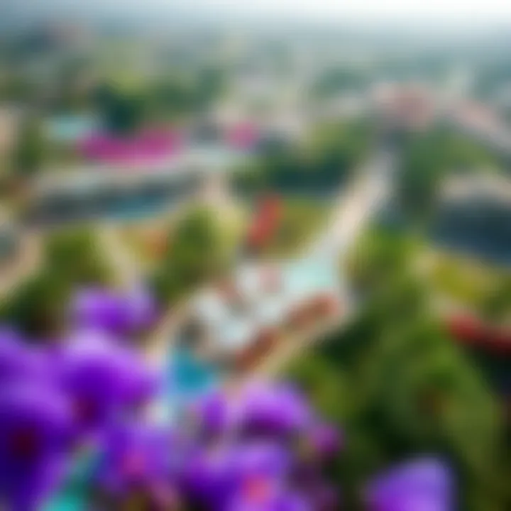 Aerial view of Dubai Miracle Garden and its surroundings