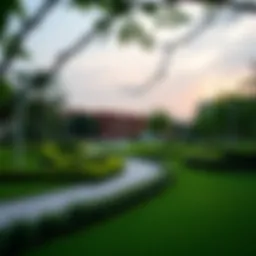 A serene view of Green Park showcasing lush greenery and recreational spaces