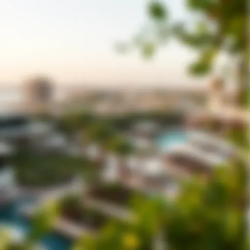 A panoramic view of حديقة الرقايب showcasing its lush greenery and design