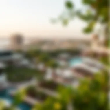 Panoramic View of حديقة الرقايب A panoramic view of حديقة الرقايب showcasing its lush greenery and design