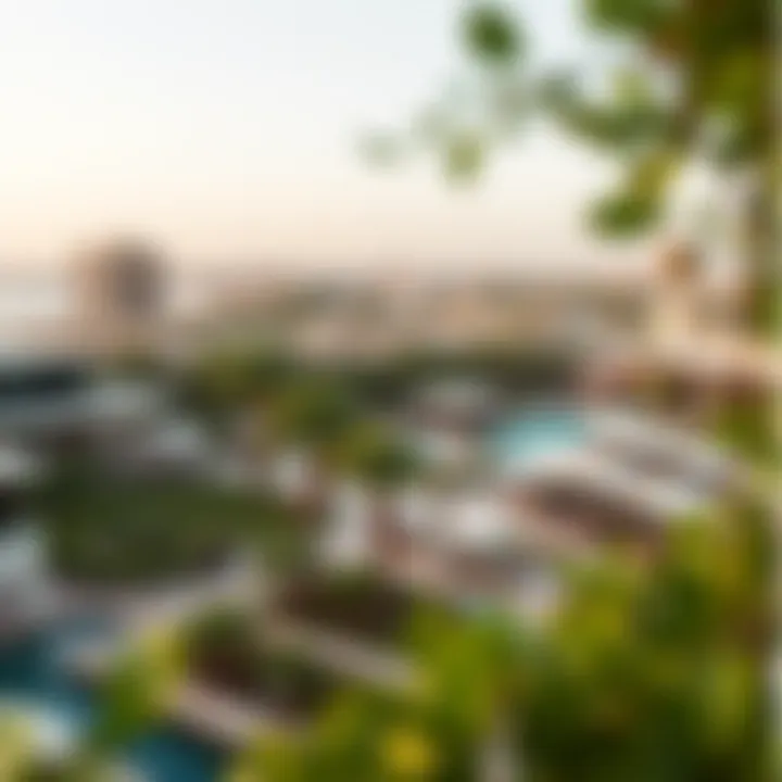 Panoramic View of حديقة الرقايب A panoramic view of حديقة الرقايب showcasing its lush greenery and design