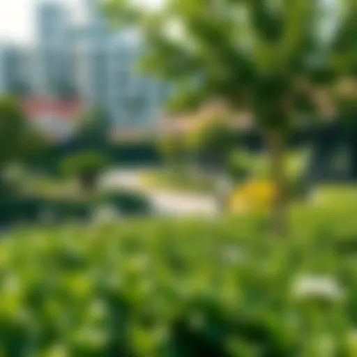 A panoramic view of Holland Gardens showcasing unique landscaping