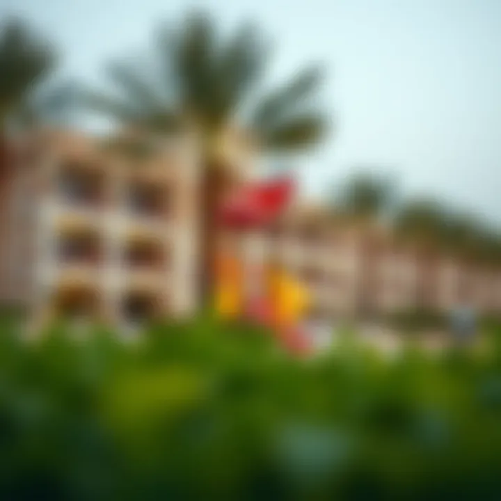 Community amenities such as parks and recreational facilities in Madinat Zayed