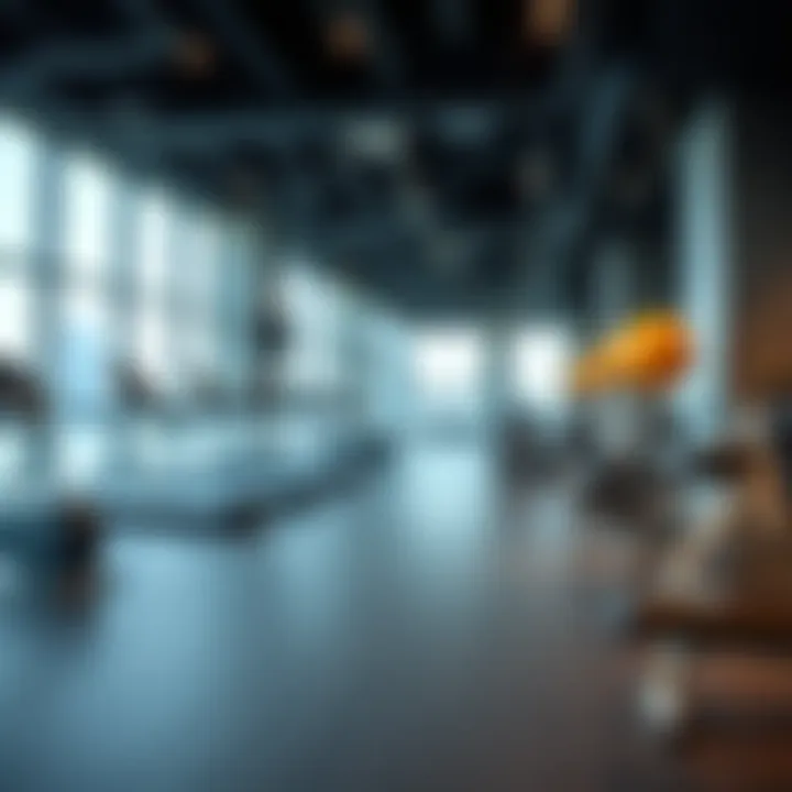 Modern Fitness Center in Marina Blue Building 8 Modern fitness center facilities within Marina Blue Building 8