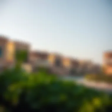 Charming Neighborhood Surroundings of Rashidiya A picturesque view of the Rashidiya neighborhood