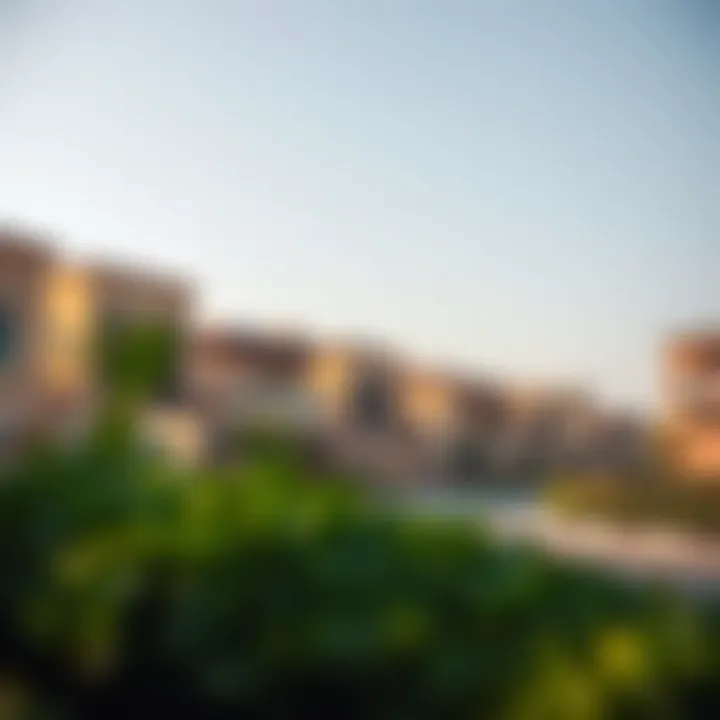 Charming Neighborhood Surroundings of Rashidiya A picturesque view of the Rashidiya neighborhood