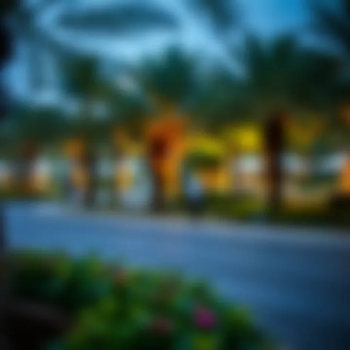 Tranquil park in Al Nahda