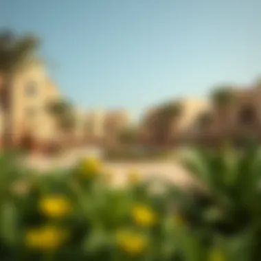 Vibrant community amenities in مجمع الريف, highlighting parks and recreational areas