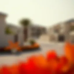 A serene residential neighborhood in the UAE showcasing sound barriers and quiet zones