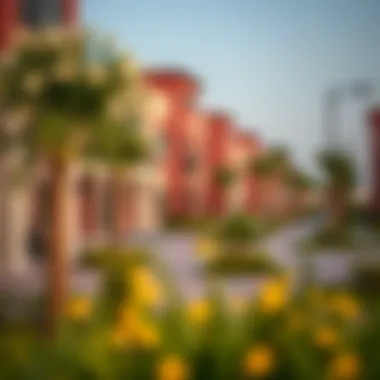 View of community amenities in Al Qusais