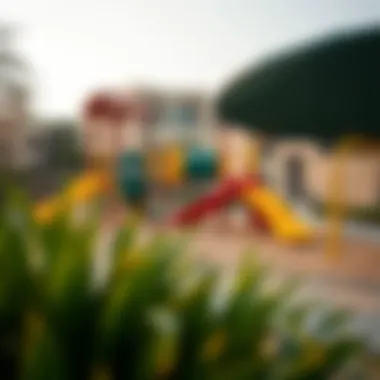 Exploring Play Areas: A Comprehensive Insight Summary Exploring Play Areas: A Comprehensive Insight Summary