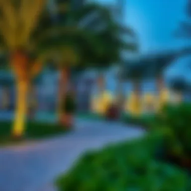 Serene Community Park Community park in International City, a perfect spot for relaxation and social activities