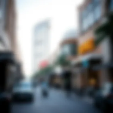 Bustling Shopping Street Near Dubai Airport A bustling shopping street filled with various retail shops and cafes close to the airport