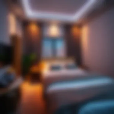 Cozy studio room setup