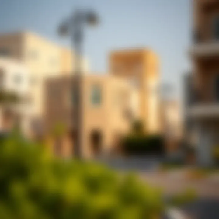 Local neighborhood view of Rashidiya