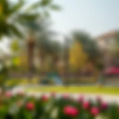 A serene community park highlighting the neighborhood's amenities. Community park and recreational area in Ikkad Mushaf