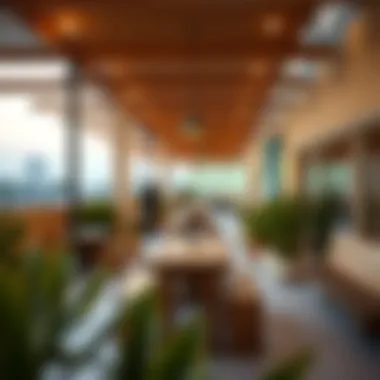 Community Amenities in Warsan 2 Community facilities and amenities in Warsan 2